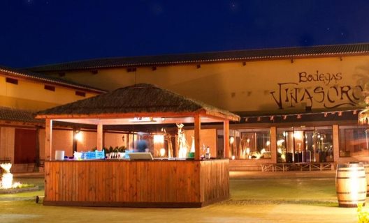 Hotel Bodegas Chateau Viñasoro