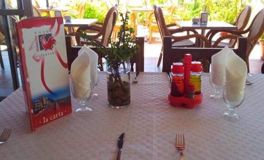 Hotel Bodegon