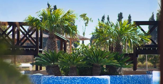 Hotel Bonalba Alicante