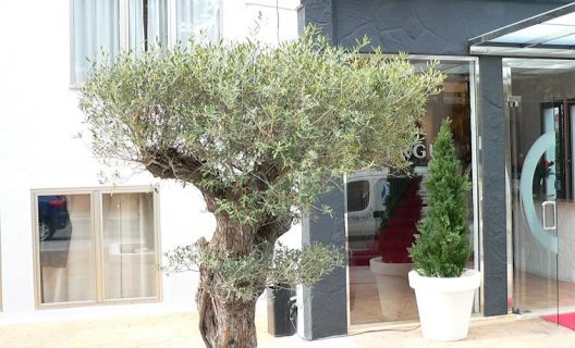 Hotel Boutique Bon Repos Adults Only