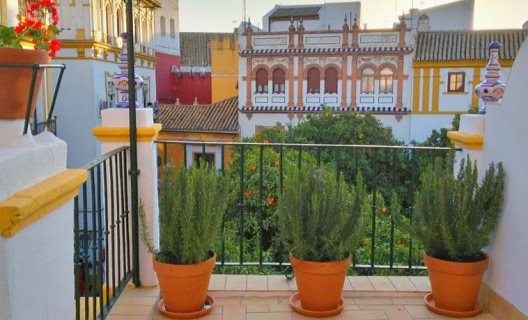 Hotel Boutique Elvira Plaza