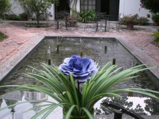 Hotel Boutique Hacienda El Santuario Centro