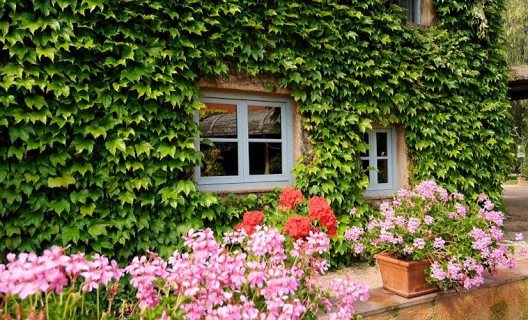 Hotel Boutique La Boella