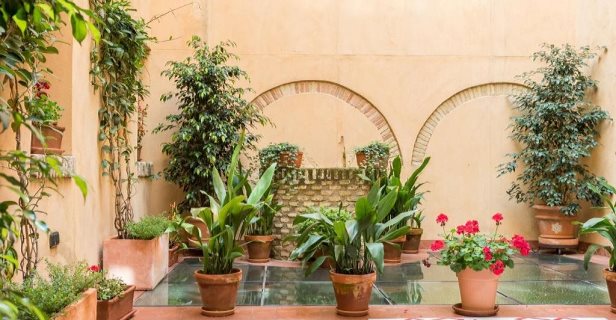 Hotel Boutique Palacio Pinello