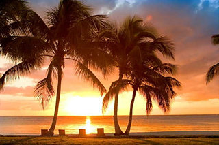 Hotel Boutique Tortuga Bay