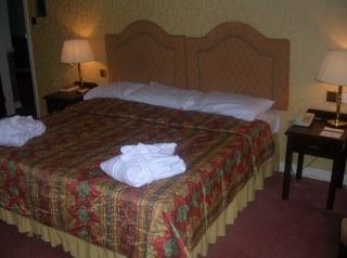 Hotel Bower