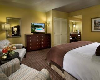 Hotel Buena Vista Suites