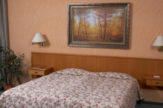 Hotel Burg