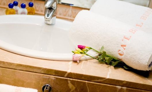 Hotel Ca L Bisbe