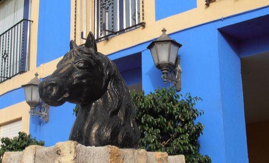 Hotel Caballo Negro