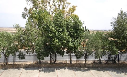 Hotel Caballo Negro