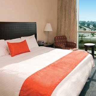 Hotel Camino Real Pachuca