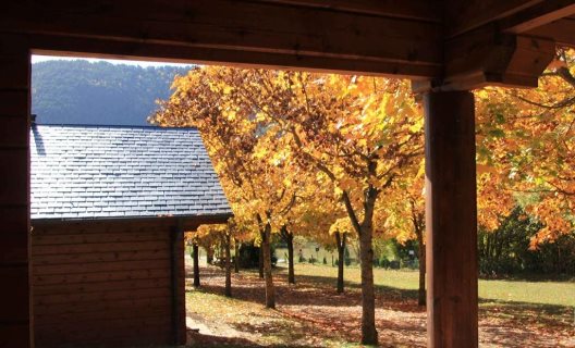 Hotel Camping Viu