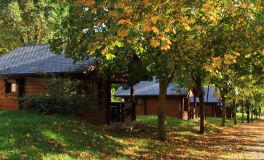 Hotel Camping Viu
