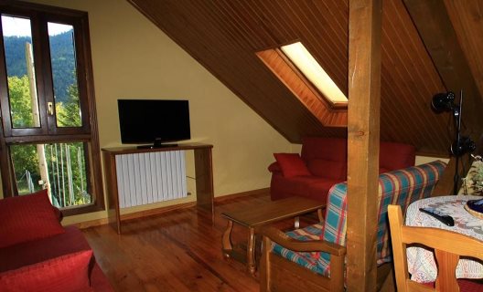 Hotel Camping Viu
