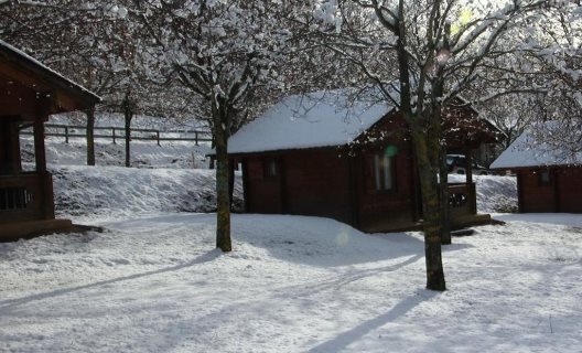Hotel Camping Viu