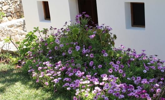 Hotel Can Fuster