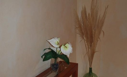 Hotel Canabal