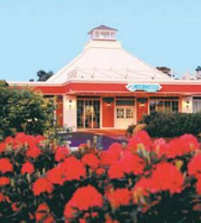 Hotel Cape Codder Resort & Spa