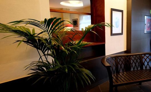 Hotel Carmen