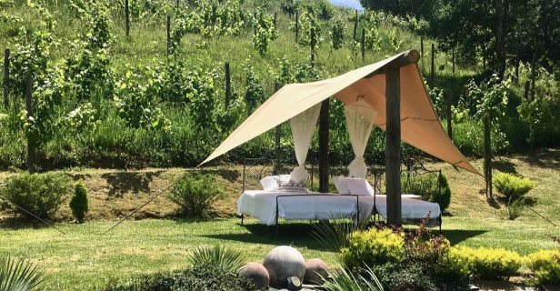 Hotel Carmo's Boutique