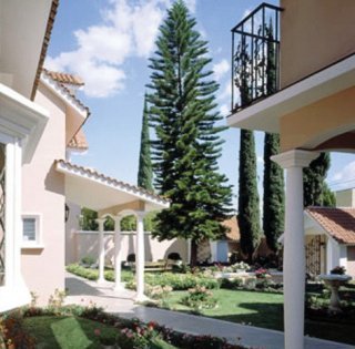 Hotel Casa Bonita
