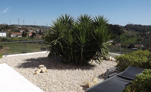 Hotel Casa Ceedina Bed And Breakfast