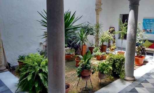 Hotel Casa Del Regidor