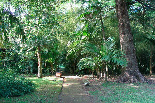 Hotel Casa Do Jardim