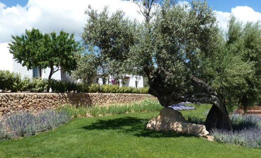 Hotel Casa Maca