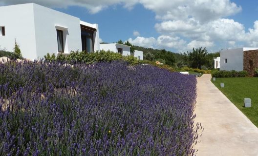 Hotel Casa Maca