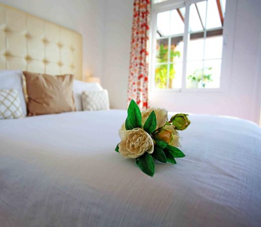 Hotel Casa Rosa