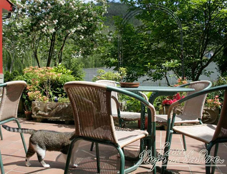 Hotel Casa Vieja Del Sastre