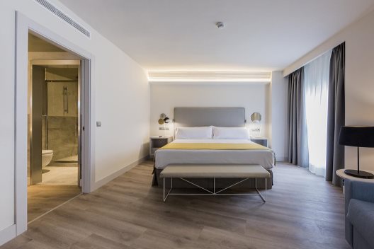 Hotel Catalonia Granada