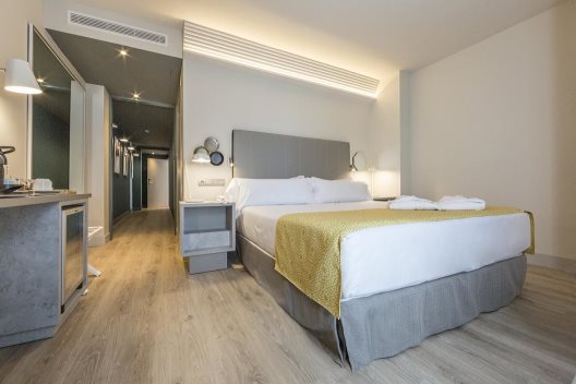 Hotel Catalonia Granada