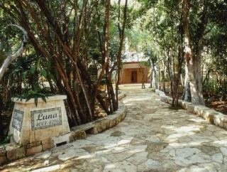 Hotel Catalonia Royal Tulum All Inclusive