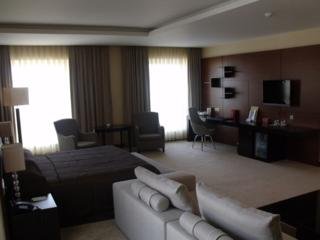 Hotel Caucasus Point