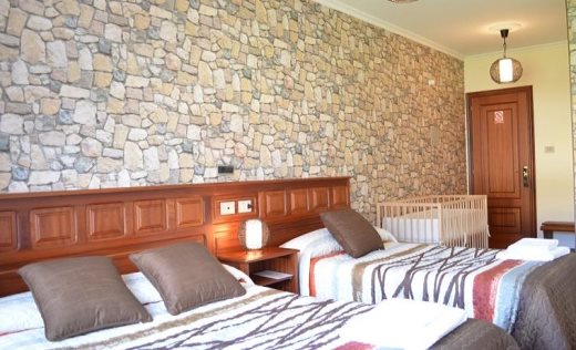 Hotel Celta Galaico