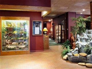 Hotel Chestnut Tree Inn