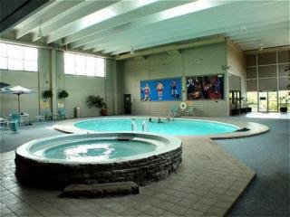 Hotel Chestnut Tree Inn