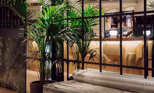 Hotel Chic & Basic Velvet