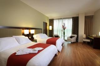 Hotel Ciudad De David & Bussiness