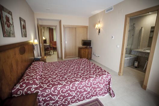 Hotel Ciudad Del Sur