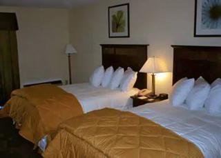 Hotel Clarion Inn And Suites