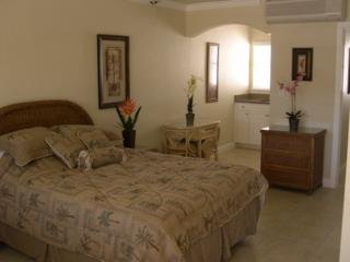 Hotel Coconut Villas
