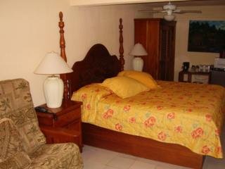 Hotel Coconuts Caribbean Resort