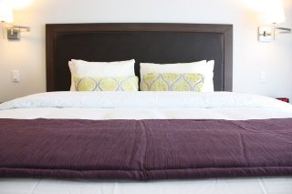 Hotel Collins