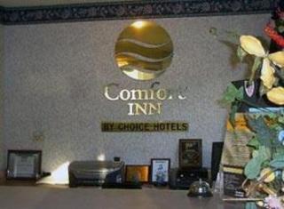 Hotel Comfort Inn