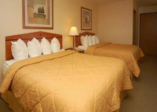Hotel Comfort Inn