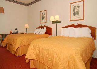Hotel Comfort Inn